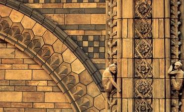 Boloji.com - A Study in Diversity - News, Views, Analysis ... Boloji.com - A Study in Diversity - News, Views, Analysis ...