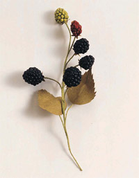 Blackberries1.jpg