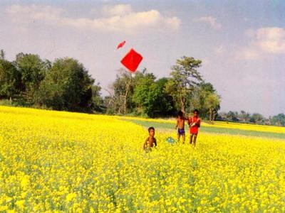 Kite_Flying_of_Bangladeshi_Village_Kids.jpg