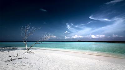 beautiful-beach-with-deep-blue-sky.jpg