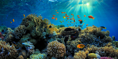 great-barrier-reef-660x330.png