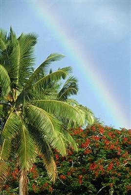 gulmohar2.jpg