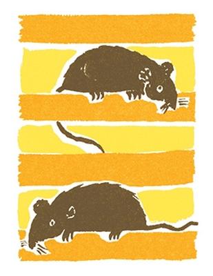 mice.jpg