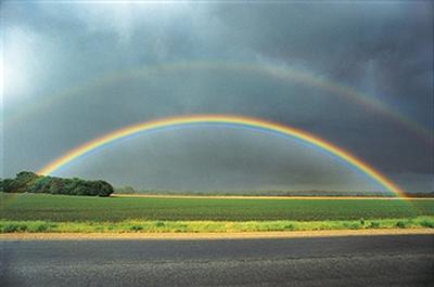 rainbow4.jpg