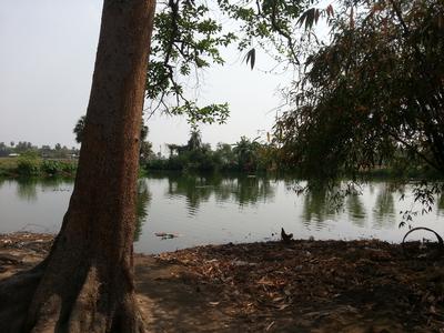 village_pond.jpg